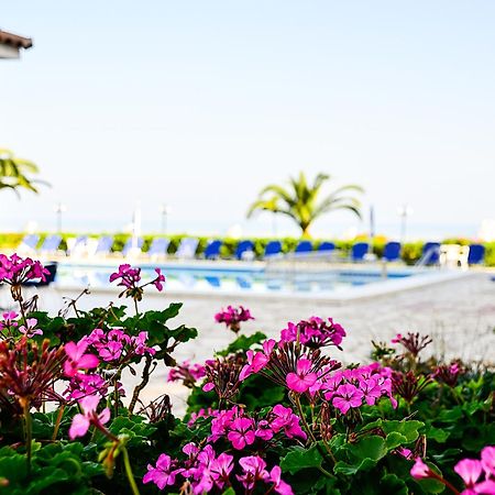 Meridien Beach Hotel Argassi Eksteriør billede